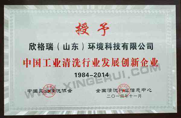 中國工業(yè)清洗行業(yè)發(fā)展創(chuàng)新企業(yè)
