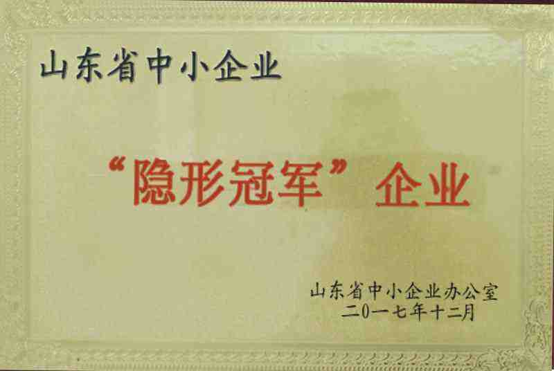 山東省隱形冠軍企業(yè)