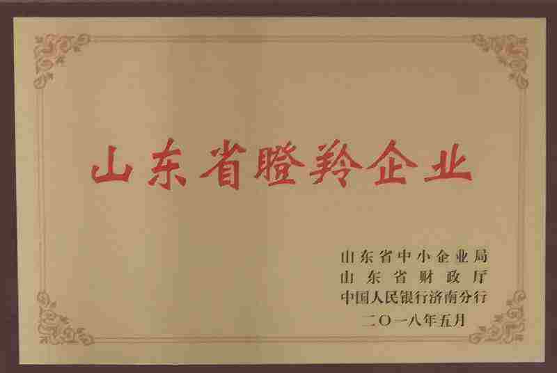 山東省瞪聆企業(yè)