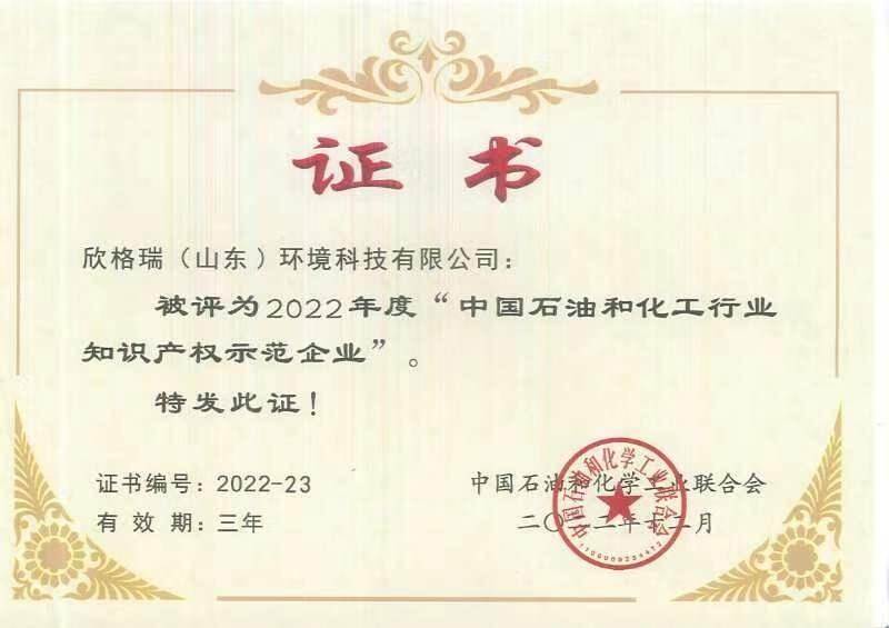 中國石油和化工行業(yè)知識(shí)產(chǎn)權(quán)示范企業(yè)