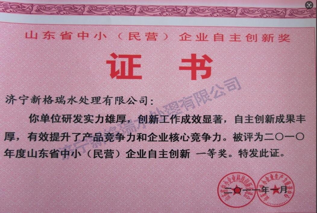 山東省中?。駹I）企業(yè)自主創(chuàng)新一等獎(jiǎng)