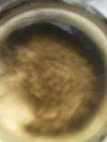 clip_image006.jpg